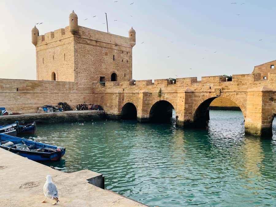 Essaouira: Sqala du Port, Citadel, Fish Market & Medina Tour - One hour inside the UNESCO-listed Medina