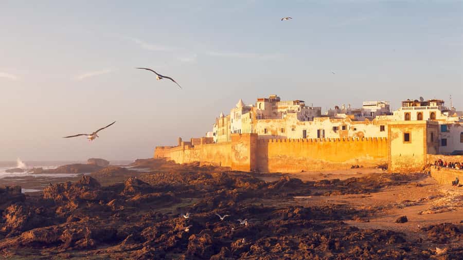 Essaouira: Sqala du Port, Medina Ramparts & Fish Market Tour - Bab Doukkala and the market streets