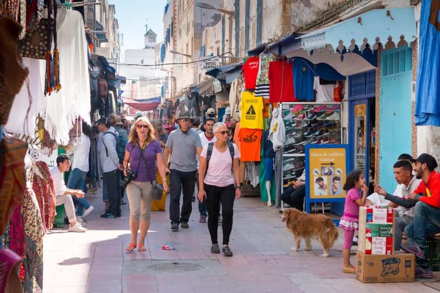 Essaouira: Sqala du Port, Medina Ramparts & Fish Market Tour - Pace, group size, and guide style