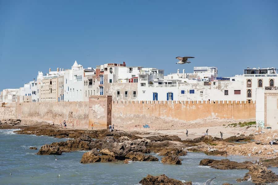 Essaouira: Sqala du Port, Medina Ramparts & Fish Market Tour - Starting at Bab Sbaa Gate