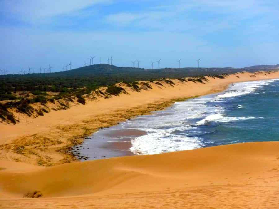 Essaouria: Beach & Big Dunes 2-Hour Quad Biking Tour - Quick reasons to book
