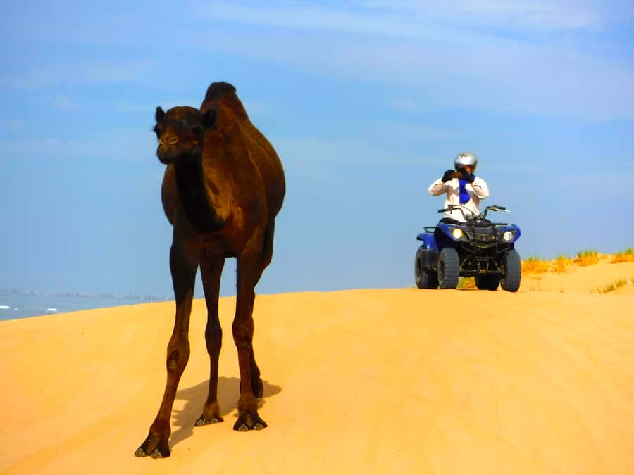 Essaouria: Beach & Big Dunes 2-Hour Quad Biking Tour - How the small group changes the experience