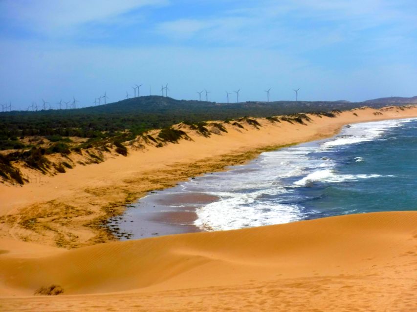Essaouria: Beach & Big Dunes 2-Hour Quad Biking Tour - Who should choose this ride