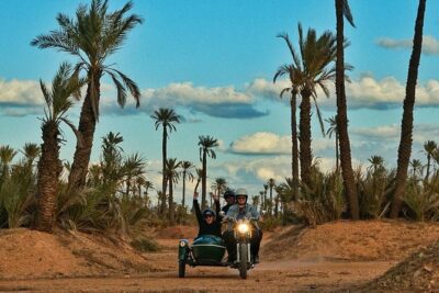 Essential Ride by sidecar (Marrakech off the beaten path) 1h30