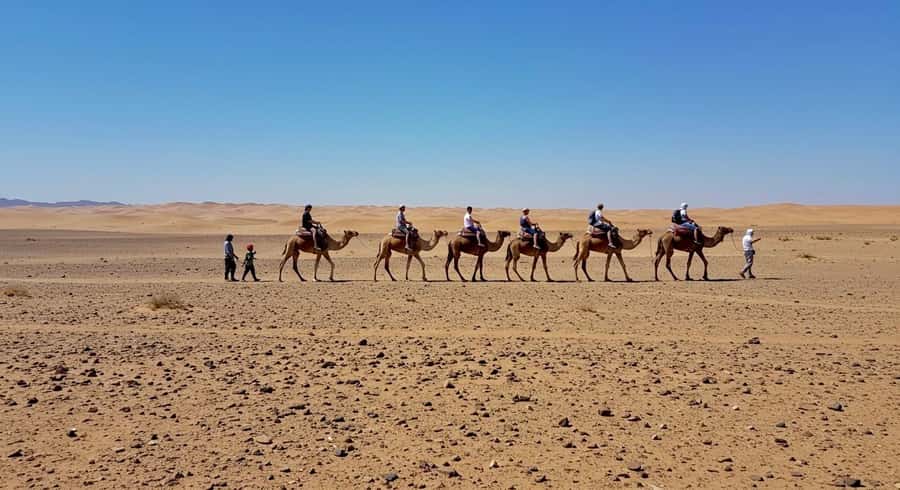 Evening Marrakech: Agafay Desert Quad , Camel & Dinner Shows - What $23 really gets you