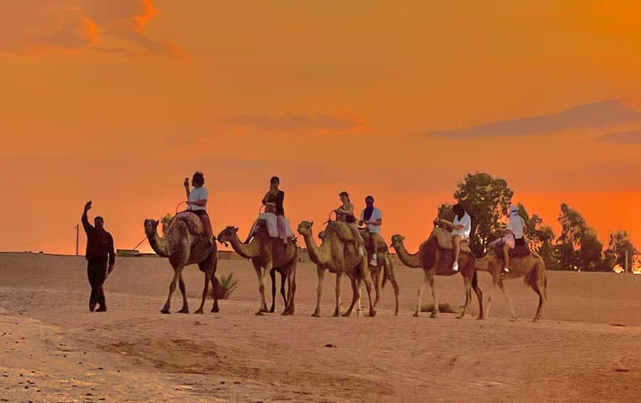 Evening Marrakech: Agafay Desert Quad , Camel & Dinner Shows - Who will enjoy this Agafay evening