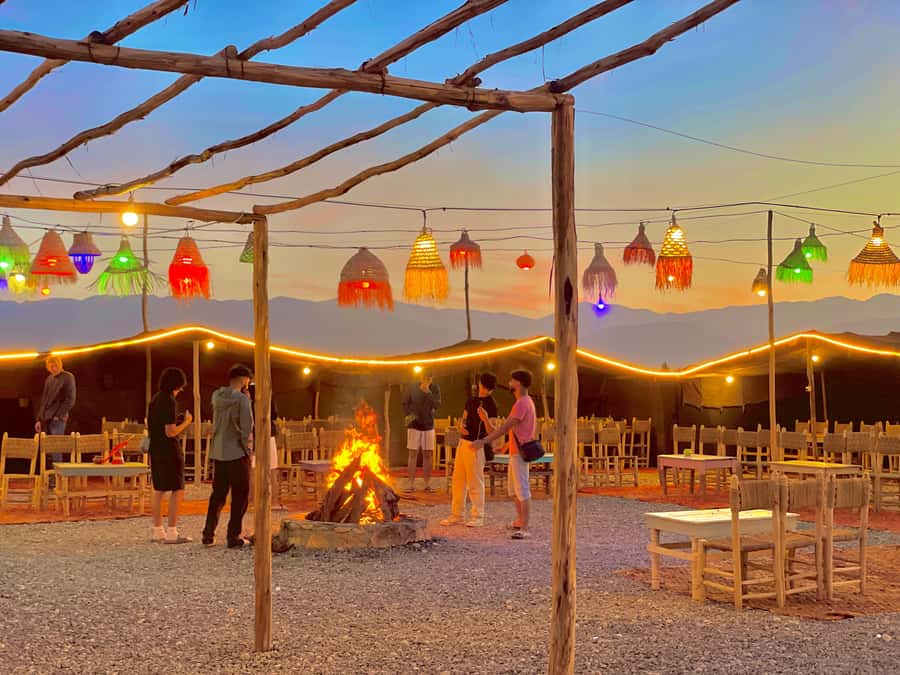Evening Marrakech: Agafay Desert Quad , Camel & Dinner Shows - Tasting argan oil at a local cooperative
