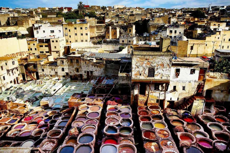 Exclusive Fez Medina Walking Tour with a local Guide - Timing, Friday closures, and walking comfort