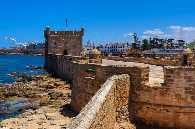 Excursion Essaouira from Marrakech - Afous Argan, oil production, and the sales pressure