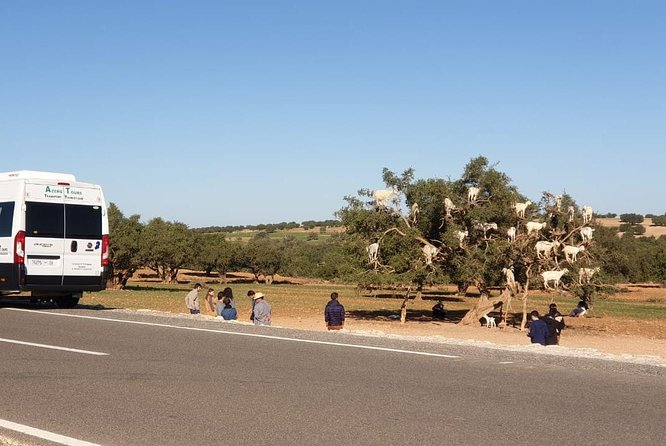Excursion Essaouira from Marrakech - Who should choose this day trip