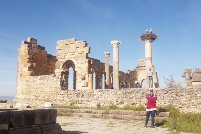 Excursion Meknes Volubilis - Who will enjoy this day trip most