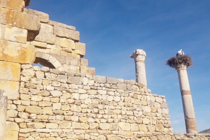 Excursion Meknes Volubilis - A fair look at the $58.16 price