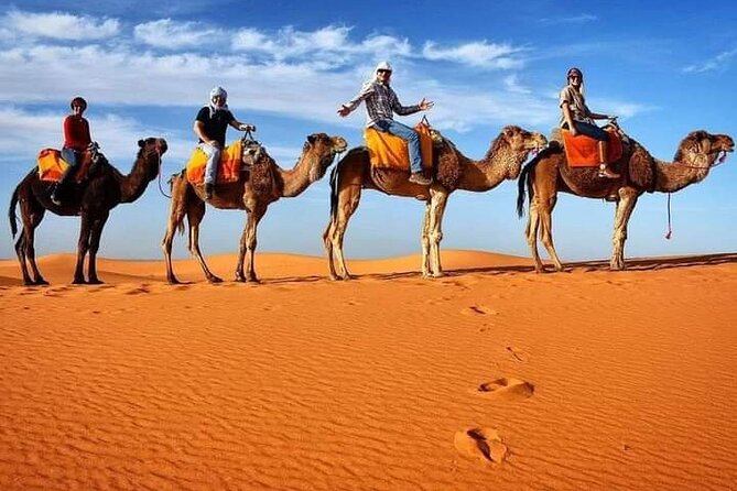Excursions Quad Riding in Merzouga - Key points to know before you book
