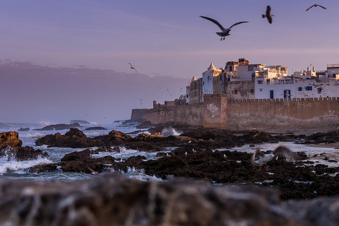 Explore Essaouira on a Day Trip from Marrakech - The argan oil stop on the coastal road