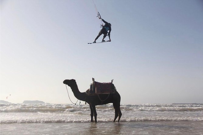 Explore Essaouira on a Day Trip from Marrakech - Exploring the Essaouira medina independently