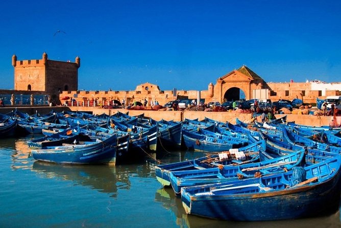 Explore Essaouira on a Day Trip from Marrakech - The port, fish market, and a seafood lunch