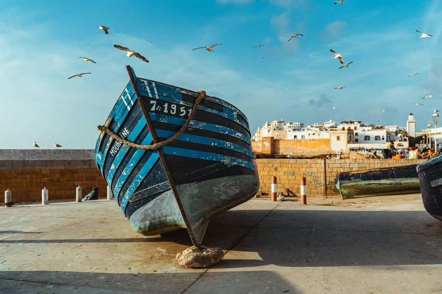 Explore Essaouira's Secrets: A Guided Tour with a Local! - The Mellah and Essaouira’s layered past
