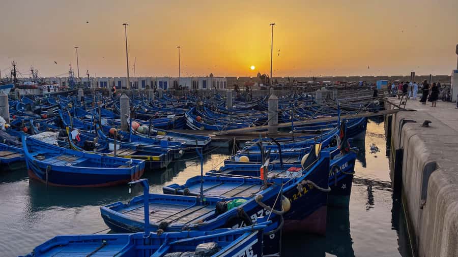 Explore Essaouira's Secrets: A Guided Tour with a Local! - Coastline, beach time, and water sports