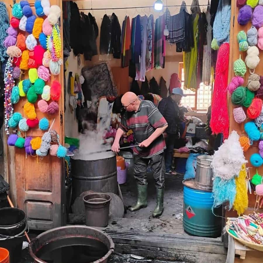 Explore Fes: Unforgettable Guided Walking Tour of the Medina - Following the winding streets of the medina