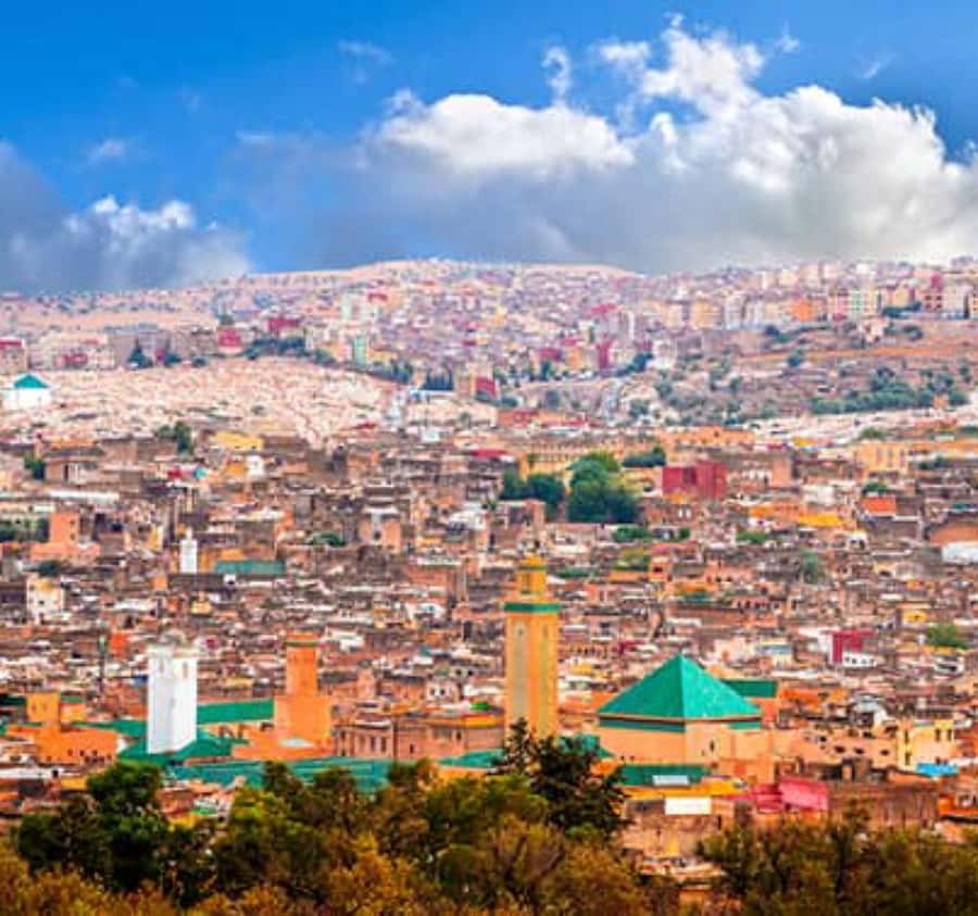 Explore Fes: Unforgettable Guided Walking Tour of the Medina - Nejjarine Fountain and the craft tradition
