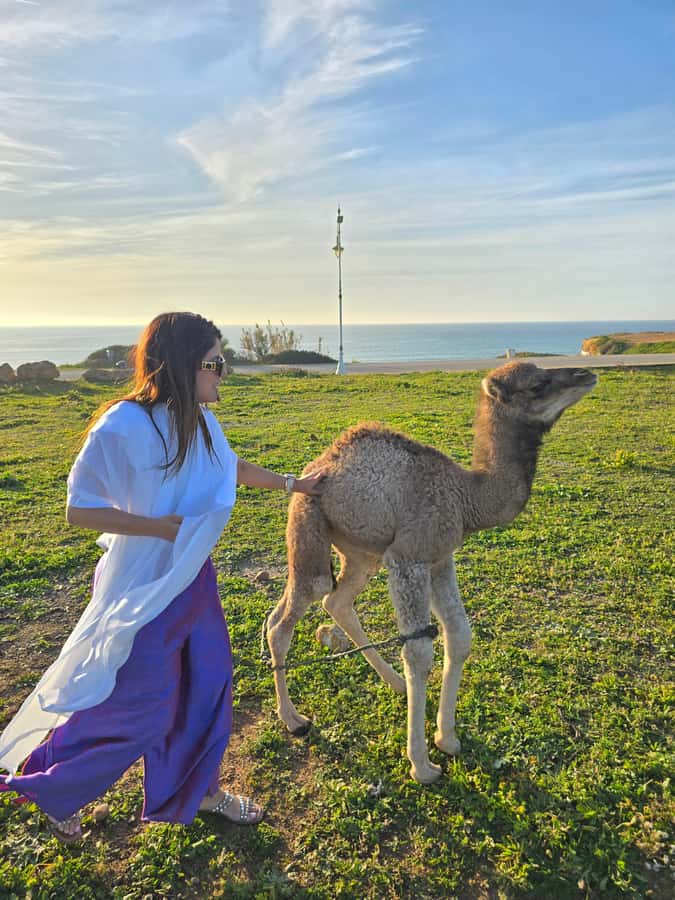 Explore Tangier: Cap Spartel, Cave, & Camel Ride Adventure - A quick route from Tangier to the Atlantic coast