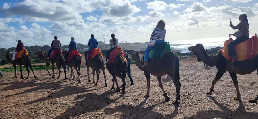 Explore Tangier: Cap Spartel, Cave, & Camel Ride Adventure - Timing, comfort, and who should book