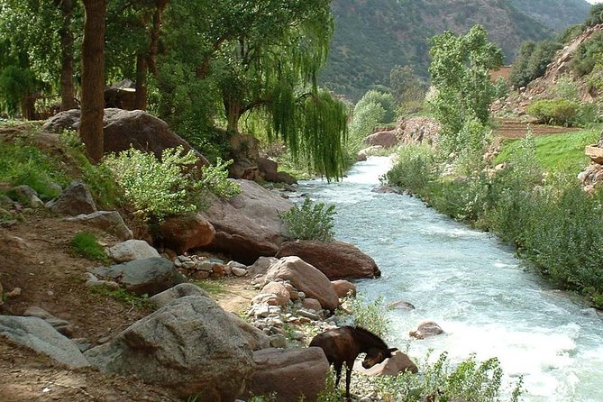 Explore The Best Of Ourika Valley: Departure From Marrakech. - Monday at Tnin Ourika market