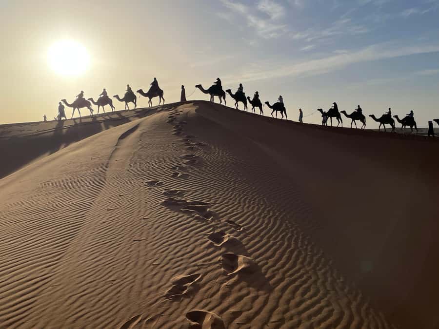 Fes: 3 Days Desert Tour from Fes back to Fez - Who Should Book This Fes Desert Tour?