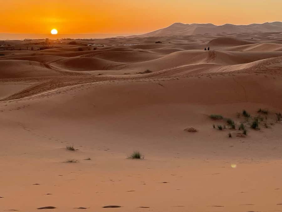Fes: 3 Days Desert Tour from Fes back to Fez - Should You Book It?