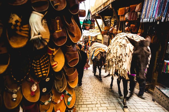 Fes Guided Tour - Walking the Fez Medina