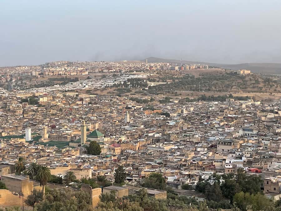 Fes: Medina Guided Tour with Local - Chaouwara Tannery and the realities of the visit