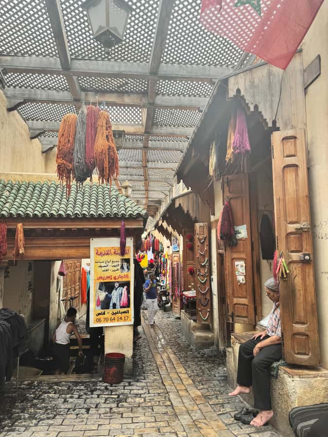 Fes: Museum, Al Attarine Madrasa & Tannery and Medina Tour - One hour in the Medina’s lanes and souks