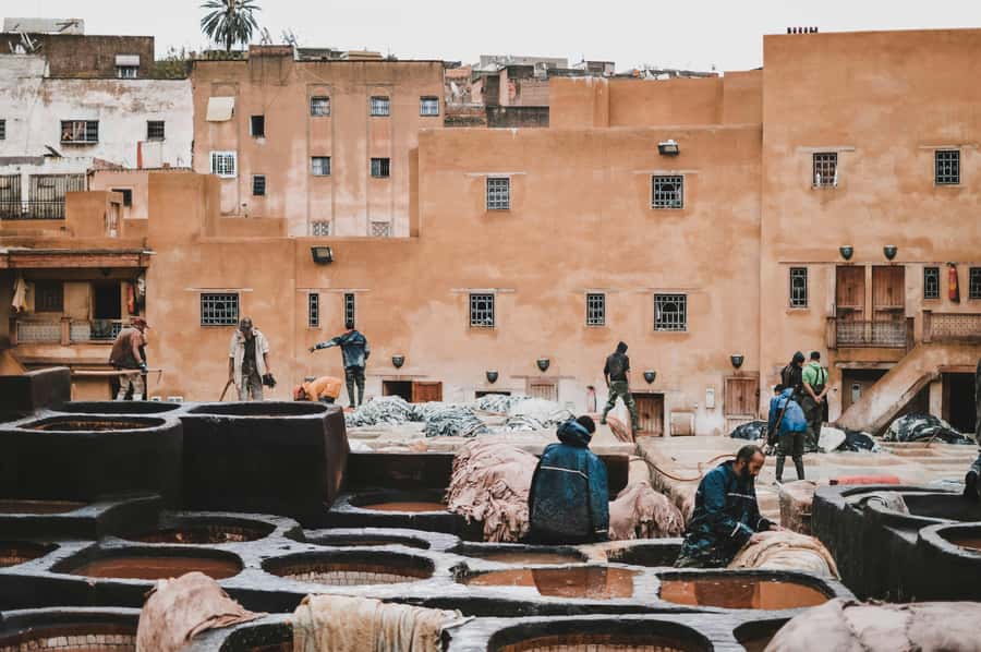 Fes: Royal Palace, Madrasa, Tannery & Souks and Medina Tour - Ending at Bab Boujloud