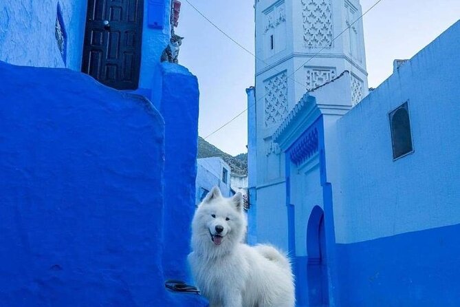 FES TO Chefchaouen Day Trip- luxury Private Tour - Plaza Uta el-Hammam, the Kasbah, and the mosque area