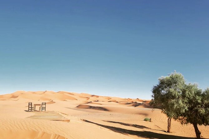Fes to Desert journey through the heart of Morocco - Cedar trees, mountain roads, and an oasis view