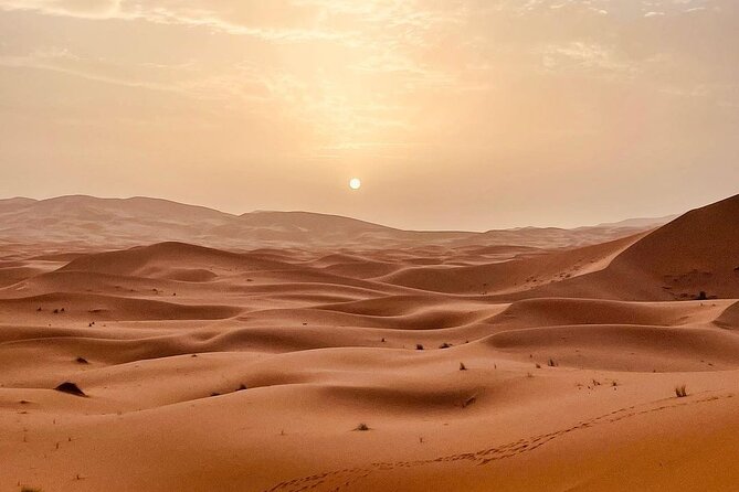Fes to Desert journey through the heart of Morocco - Rissani on the right market day