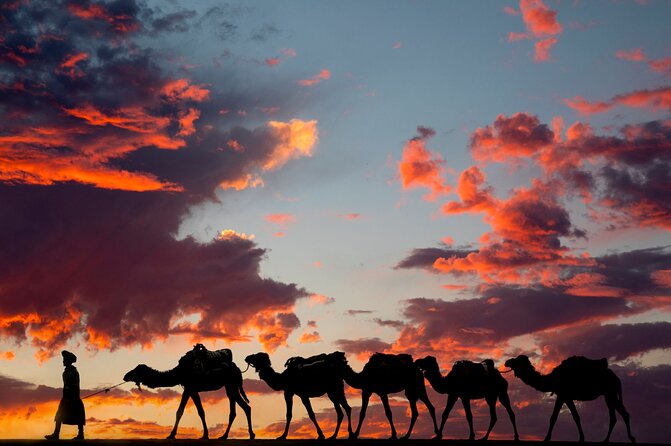 Fes To Marrakech: 3-Day Desert Tour - The vehicle, group size, and guide
