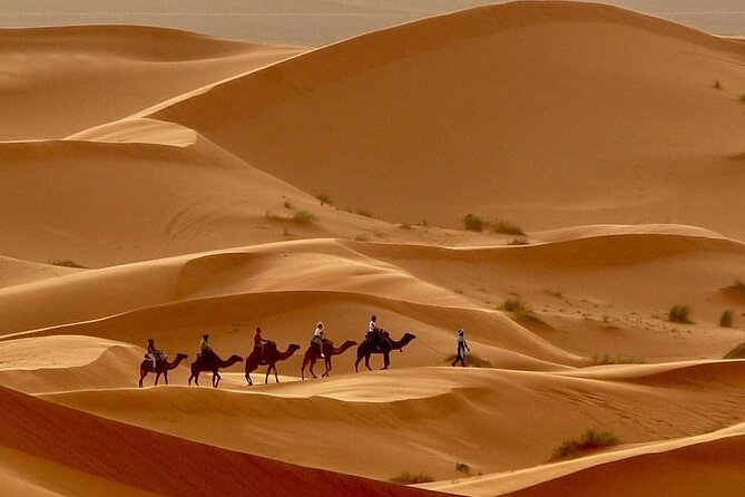 Fes To Marrakech: 3-Day Desert Tour - Should you book it?