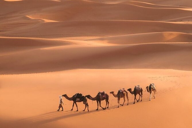 Fes To Marrakech: 3-Day Desert Tour - Day one: Fes, Azrou, and the road to the dunes