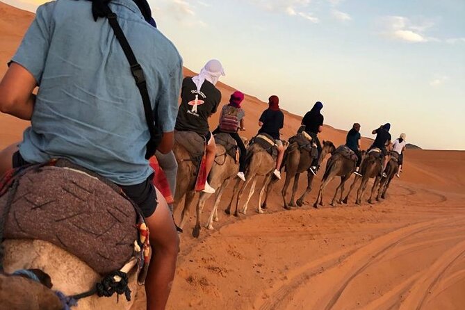 Fes To Marrakech : 3 Days Tour Via The Desert Of Merzouga & Camel - Day three: Ouarzazate and Morocco’s film country