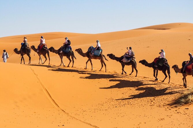 Fes To Marrakech : 3 Days Tour Via The Desert Of Merzouga & Camel - Crossing the High Atlas into Marrakech