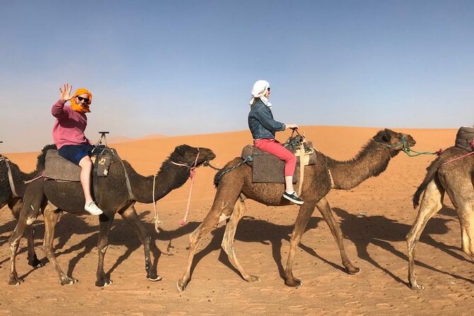 Fes To Marrakech : 3 Days Tour Via The Desert Of Merzouga & Camel - What the $389.29 price really covers