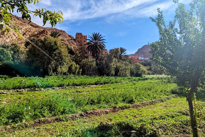 Fes To Marrakech : 3 Days Tour Via The Desert Of Merzouga & Camel - Who should book this route?