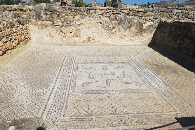 Fes to Volubilis, Moulay Idriss and Meknes Private Day Trip - Walking through Roman Volubilis