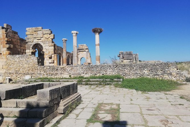 Fes to Volubilis, Moulay Idriss and Meknes Private Day Trip - The road from Fez to Volubilis