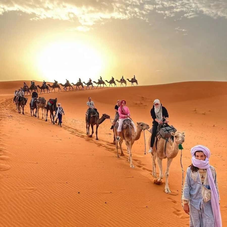 Fez: 2 Day-1 Night Luxury Sahara Desert Trip to Fez/Marakech - A private tent with real plumbing