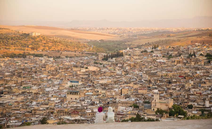 Fez: Guided Walking Tour of the Historic Medina - The tanneries and Fez’s old leather trade