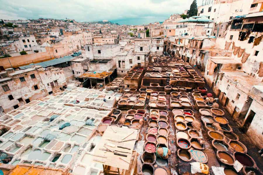Fez: Half-Day Sightseeing Tour - Why a guide helps in Fez’s old Medina