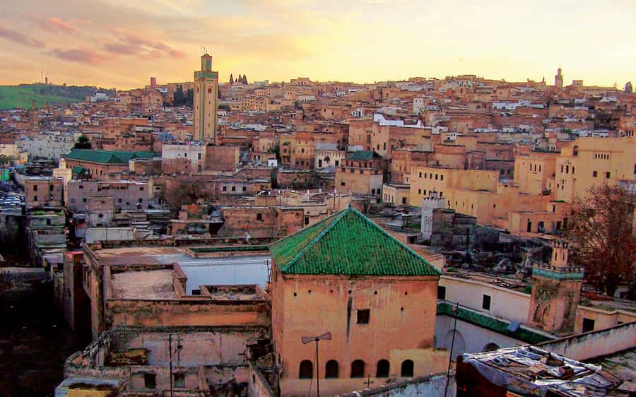 Fez: Half-Day Sightseeing Tour - Moulay Idriss Mausoleum and the city’s sacred side