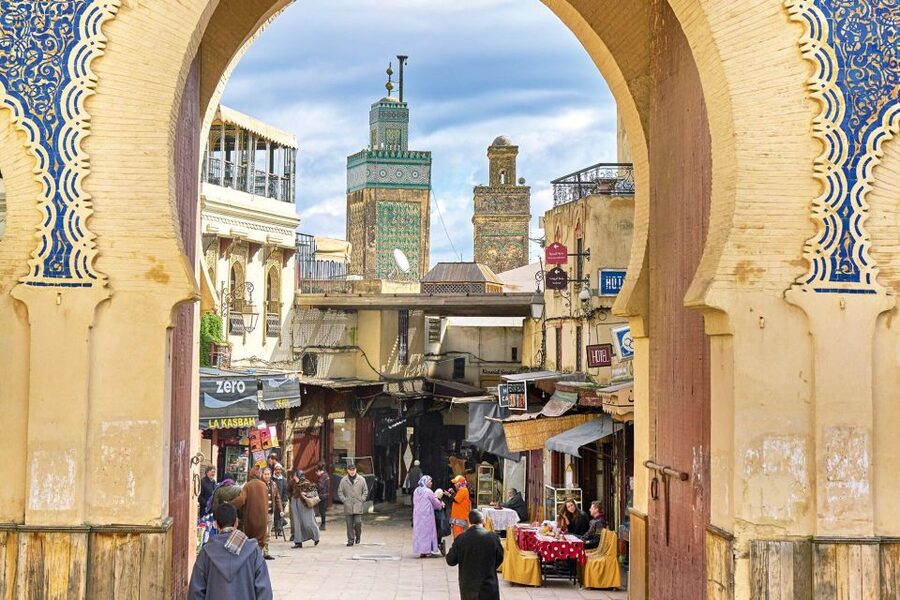 Fez: Half-Day Sightseeing Tour - Qaraouiyine Mosque and the world of learning
